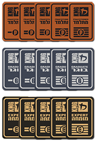 KMG level patches